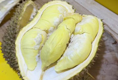 8 Manfaat Durian untuk Tubuh