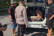 Bermodal GPS, Pecatan Polisi Ini Curi Mobil di Muara Enim yang Baru Dibeli Korbannya