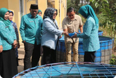 Perkuat Ketahanan Pangan Keluarga, Dinas Perikanan Muara Enim Dukung Program PKK