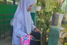 Siswi MAN 1 Muara Enim Sulap Lingkungan Madrasah Jadi Lebih Asri