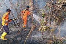 Karhutla 1,5 Hektare di Desa Karang Raja Berhasil Dipadamkan 