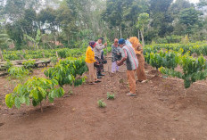 Polsek Tanjung Agung Semai Ketahanan Pangan Bersama Petani