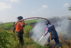 Karhutla Melanda 10 Hektare Lahan di Muara Enim, Pemadaman Terkendala Akses dan Sumber Air