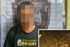 Curi 28 Tandan Buah Sawit, Polsek Lubai Tangkap Satu Pelaku
