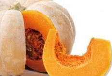 Kaya Akan Vitamin, Inilah Manfaat Labu Kuning untuk Kesehatan Anak