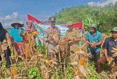 Bukti Semangat Petani Jaga Ketahanan Pangan