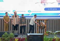 Wagub Cik Ujang Minta INKINDO Sumsel Selaraskan Program dengan Asta Cita Presiden