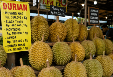 Mengapa Harga Durian Bisa Sangat Mahal? Ini Faktor yang Mempengaruhinya
