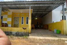 Oknum Anggota DPRD Muara Enim di OTT Kejati Sumsel, Begini Kata Bupati Edison