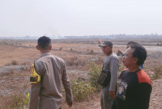 Karhutla Hanguskan 3 Hektare Sawah di Desa Petanang Muara Enim