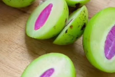 Menilik Khasiat Buah Gandaria dan Cara Mengolahnya jadi Camilan Sehat