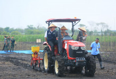 Tanam Jagung Serentak, Gubernur Herman Deru dan Kapolri Perkuat Ketahanan Pangan Nasional
