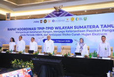 Sumsel Perkuat Peran Lumbung Pangan Sumatera, Siap Antisipasi Dampak Cuaca Ekstrem dan HBKN