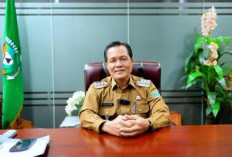 Pemkab Muara Enim Siap Tempuh Jalur Hukum Pelaku Pembakaran Lahan