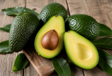 Kaya Nutrisi dan Baik untuk Jantung, Ini Dia Manfaat Alpukat untuk Kesehatan