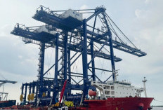 Pelindo Datangkan Alat Bongkar Muat Baru untuk Tingkatkan Layanan Terminal Peti Kemas