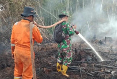 3 Kecamatan di Kabupaten Muara Enim Masuk Zona Waspada Karhutla