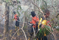 Bhabinkamtibmas Desa Kepur Bersama BPBD dan Damkar Muara Enim Berjibaku Jinakkan Karhutla