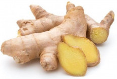 7 Manfaat Jahe untuk Kesehatan yang Wajib Diketahui