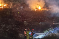 Api Lahap 500 Meter Persegi Lahan Belukar Dekat Rel Lama PTBA