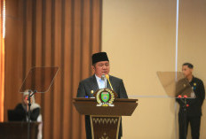 Telusuri Video Warga Sumsel Diduga Terlantar di Kamboja, Gubernur Imbau Waspada Tawaran Kerja ke Luar Negeri