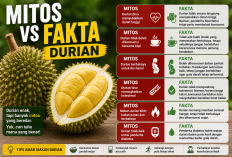 Mitos vs Fakta Durian: Benarkah Bisa Picu Darah Tinggi dan Berbahaya untuk Tubuh? Simak di Sini