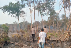 BRIN Pantau Hotspot di Wilayah Desa Hidup Baru Muara Enim