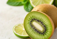 Kiwi, Buah Kecil yang Tak Diragukan Manfaatnya 