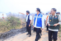 Gubernur Herman Deru dan Wamen Lingkungan Hidup Perkuat Kolaborasi Pusat-Daerah tangani Kerhutla di Sumsel