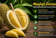Kaya Nutrisi dan Bikin Stamina Tetap Prima! Ini Manfaat Durian Bagi Kesehatan dan Energi Tubuh