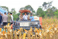 Wagub Sumsel Ajak Petani Perkuat Swasembada Pangan