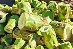 Selain untuk Kesehatan, Ini Manfaat Lain Batang Pepaya yang Perlu Kamu Ketahui
