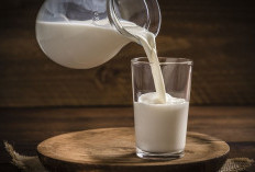 Yuk Cari Tahu! Ini Rekomendasi Minuman yang Baik untuk Sahur dan Berbuka Puasa