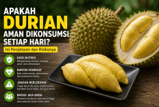 Apakah Durian Aman Dikonsumsi Setiap Hari? Ini Penjelasannya