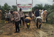 Warga Manfaatkan Lahan Sawit jadi Sumber Pangan