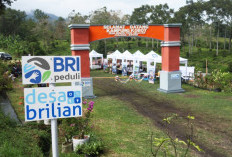 Jangkau 5.245 Desa BRILiaN, BRI Perluas Dukungan bagi Pengembangan Ekonomi Desa