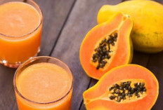 Yuk Coba di Rumah! Ini 5 Olahan Pepaya untuk Menu Berbuka Puasa