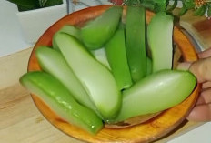 Ragam Manfaat Air Rebusan Labu Siam untuk Kesehatan, Apa Saja? Yuk Simak