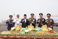 Wagub Cik Ujang Ajak TNI-Polri dan Rakyat Bersinergi Atasi Karhutla