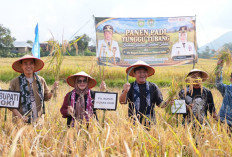 Muara Enim Lumbung Pangan Sumsel