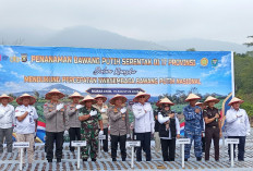 Dukung Swasembada Pangan, Muara Enim Targetkan Produksi 200 Ton Bawang Putih
