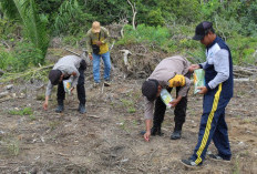 Wujud Nyata Ketahanan Pangan Berkelanjutan