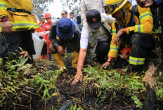 Gubernur Herman Deru Tinjau Karhutla di Banyuasin, Uji Teknologi Pemadaman dari Brasil