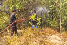 Api Lahap 1 Hektare Lahan di Muara Enim Berhasil Dijinakkan Tim Gabungan