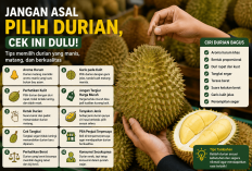 Jangan Asal Pilih Durian, Cek Ini Dulu Agar Dapat yang Manis dan Matang