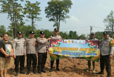 Optimalkan 1,5 Hektare Lahan untuk Tanam Jagung di Desa Penyandingan