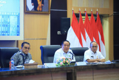 Wagub Sumsel Cik Ujang Paparkan Kinerja dan Potensi Sumsel kepada Komisi II DPR RI