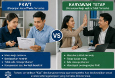 Pencari Kerja Wajib Paham! Ini Perbedaan PKWT dan Karyawan Tetap