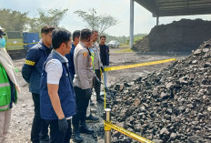 11 Tersangka dan 52 Ton Batu Bara Ilegal di IUP PTBA Diamankan Polisi, Potensi Kerugian Negara Capai Rp95,9 M