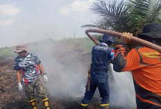 BPBD Ingatkan Ancaman Karhutla, Gelumbang Masuk Zona Merah, Kasus ISPA Meningkat